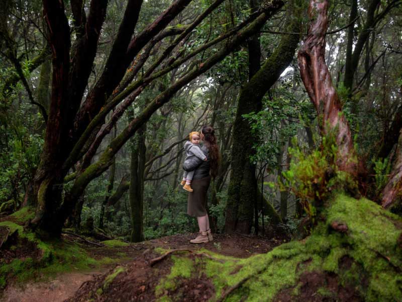 disfrutando el bosque